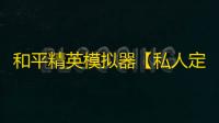 和平精英模拟器【私人定制】辅助