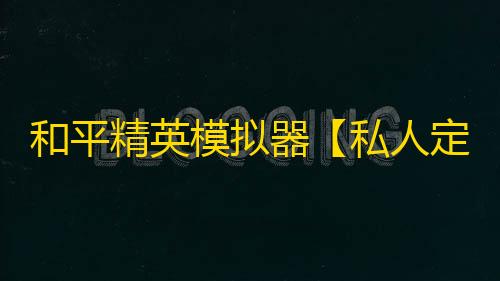 和平精英模拟器【私人定制】辅助