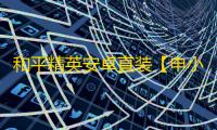 和平精英安卓直装【申小豹直装】辅助