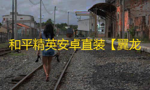 和平精英安卓直装【翼龙直装】辅助