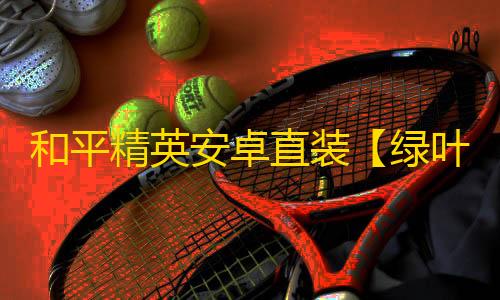 和平精英安卓直装【绿叶直装】辅助