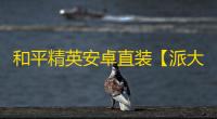 和平精英安卓直装【派大星直装】辅助