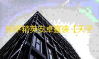和平精英安卓直装【天子直装】辅助
