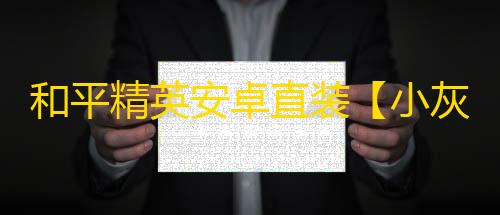 和平精英安卓直装【小灰灰原大象直装】辅助