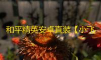 和平精英安卓直装【小飞猪直装】辅助