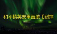 和平精英安卓直装【耐摔王直装】辅助