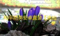 和平精英安卓直装【诛仙直装】辅助