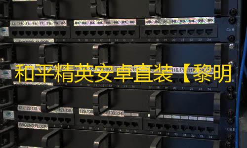 和平精英安卓直装【黎明直装】辅助